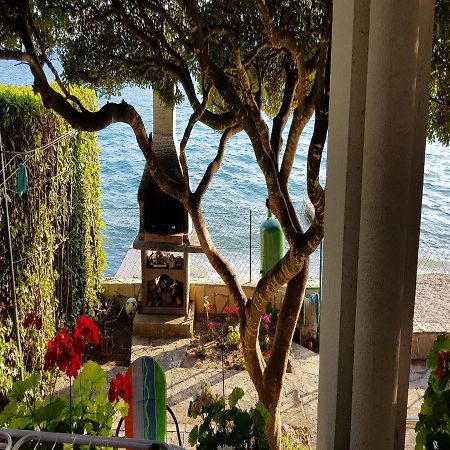 Apartman Andrija ビビニェ エクステリア 写真